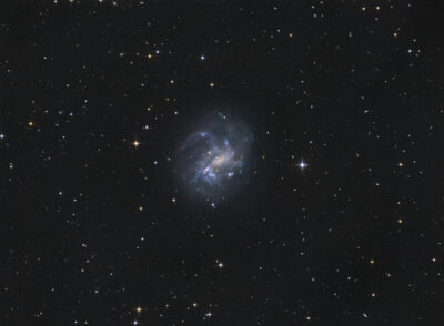 Mehr über den Artikel erfahren NGC 4395