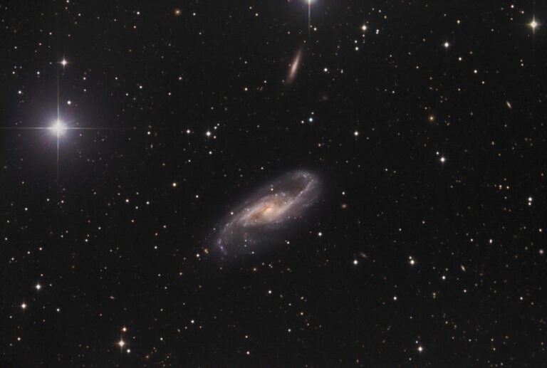 NGC 4536