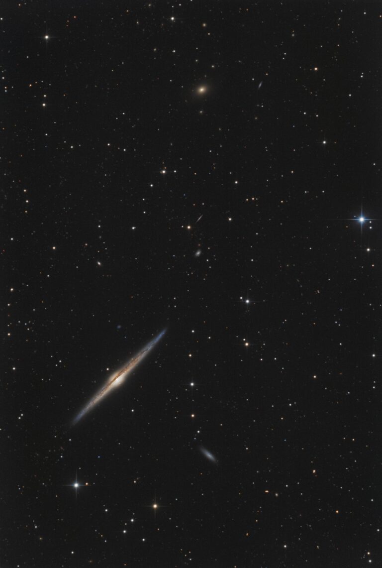 NGC 4565