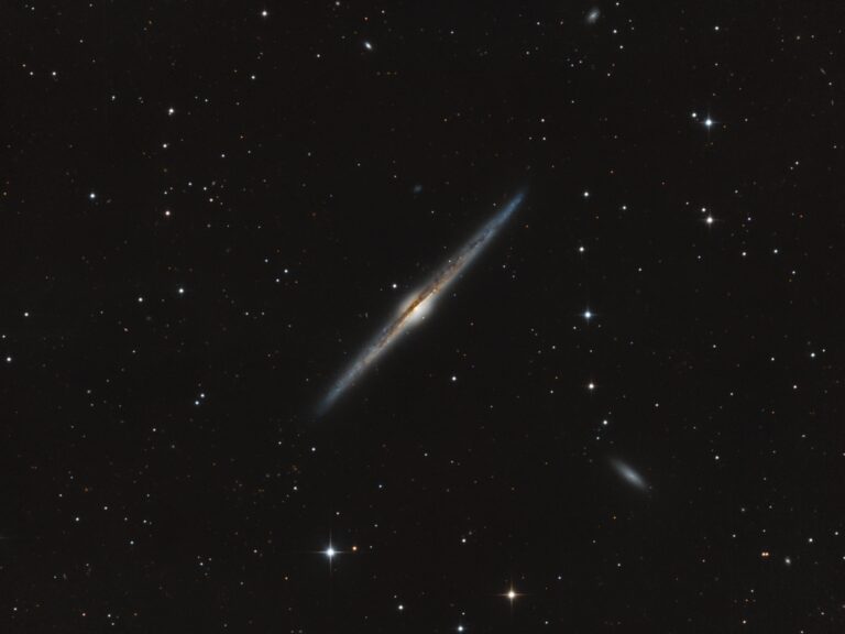 NGC 4565