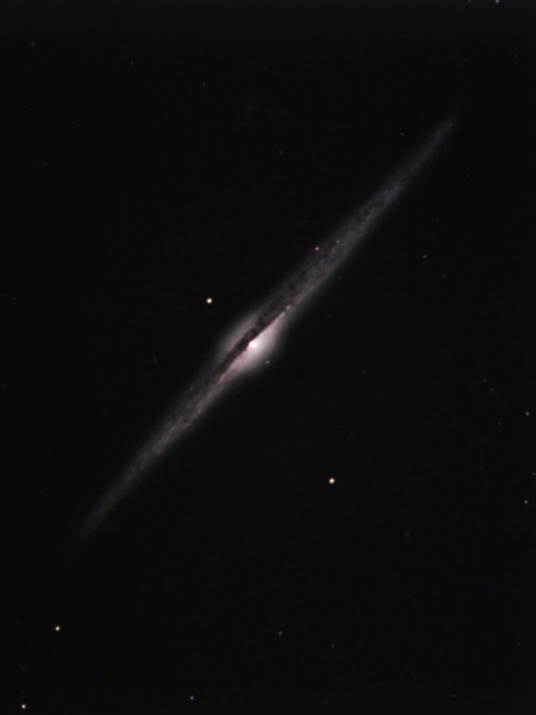 NGC 4565