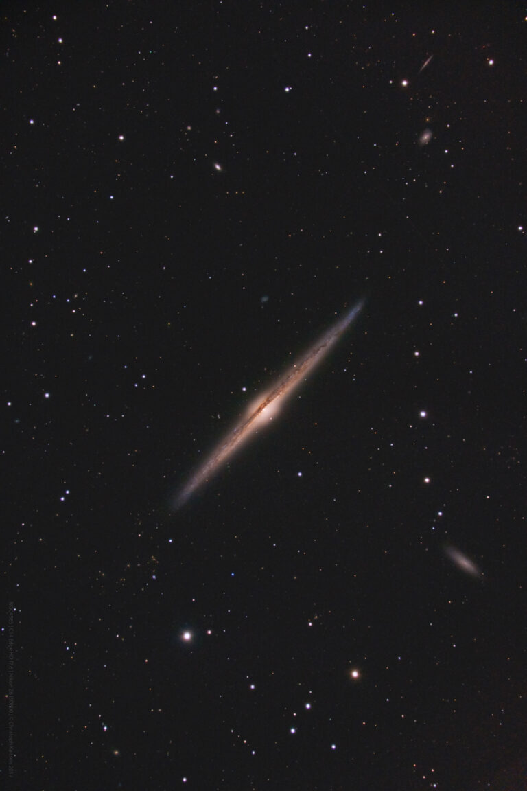 NGC 4565