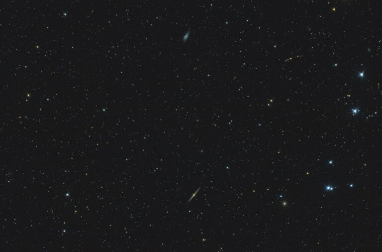 NGC 4565