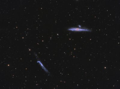 Mehr über den Artikel erfahren NGC 4631