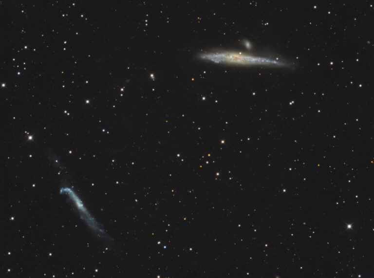 NGC 4631