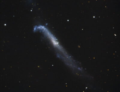 Mehr über den Artikel erfahren NGC 4656