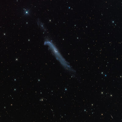 Read more about the article NGC 4656