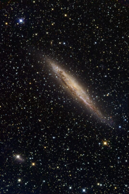 Read more about the article NGC 4945