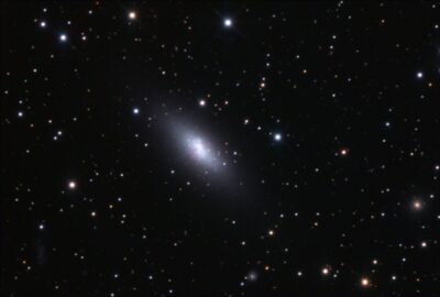 Read more about the article NGC 5253