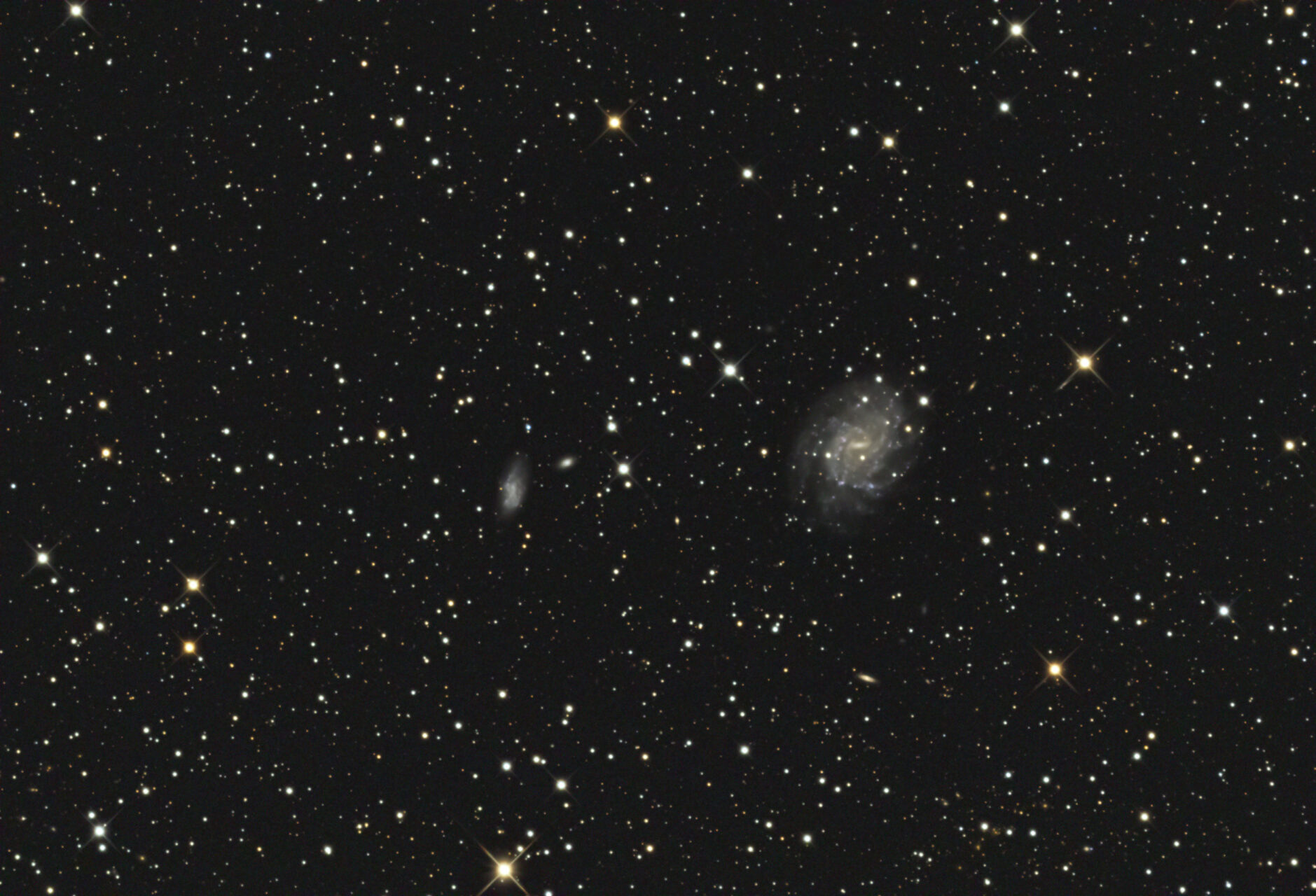 NGC 5556