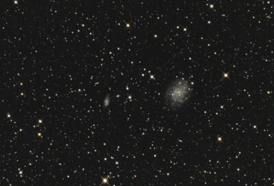 Mehr über den Artikel erfahren NGC 5556