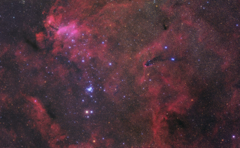 NGC 6231