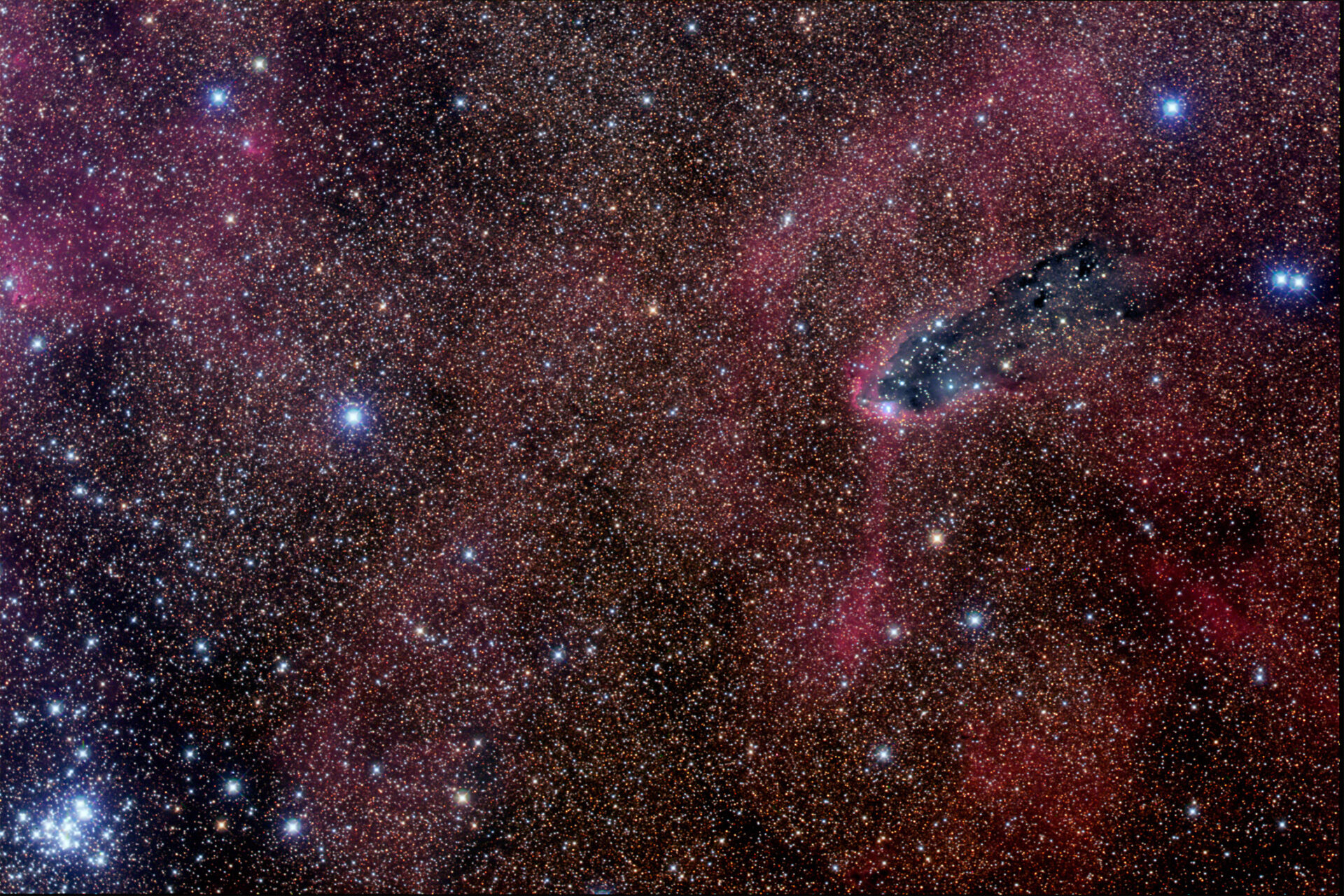 NGC 6231