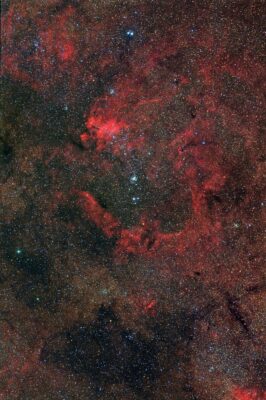 Read more about the article NGC 6231