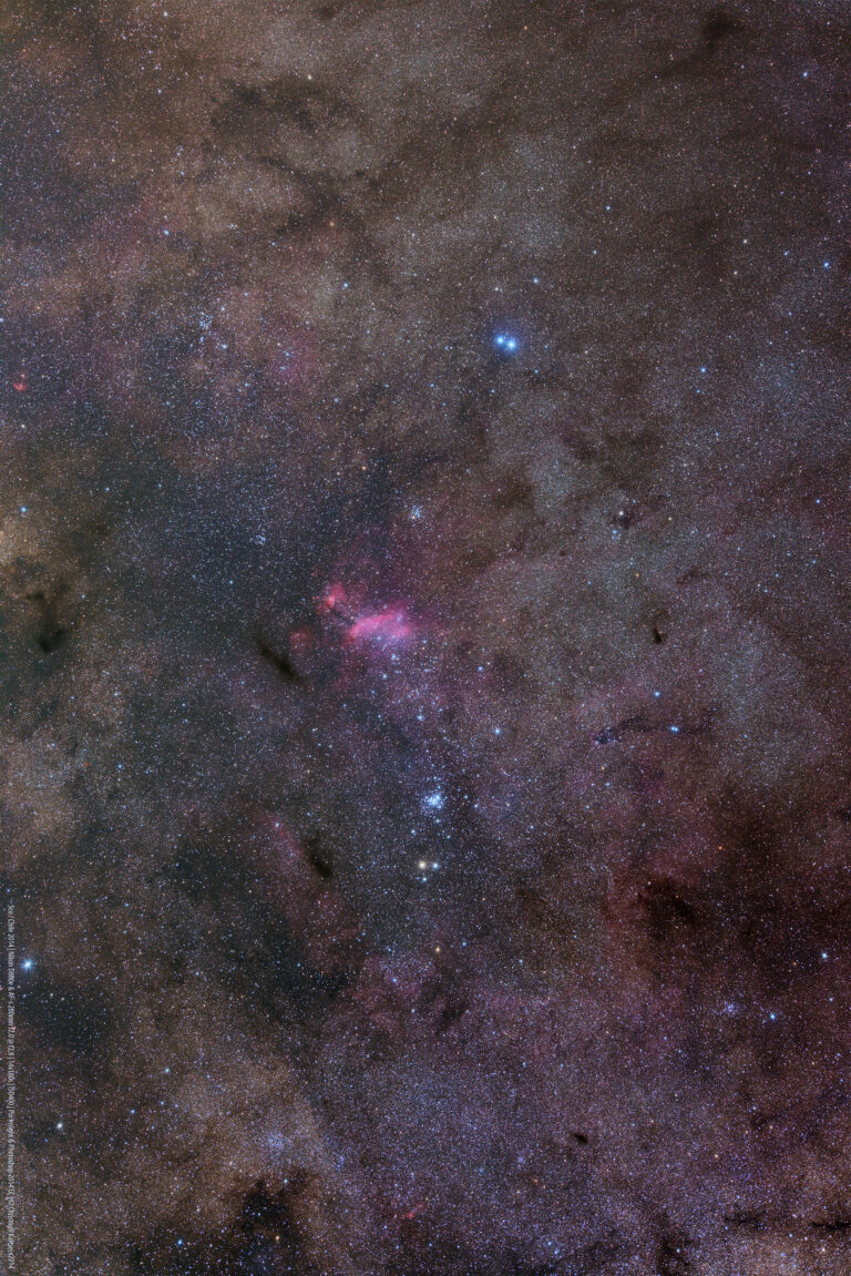 NGC 6231
