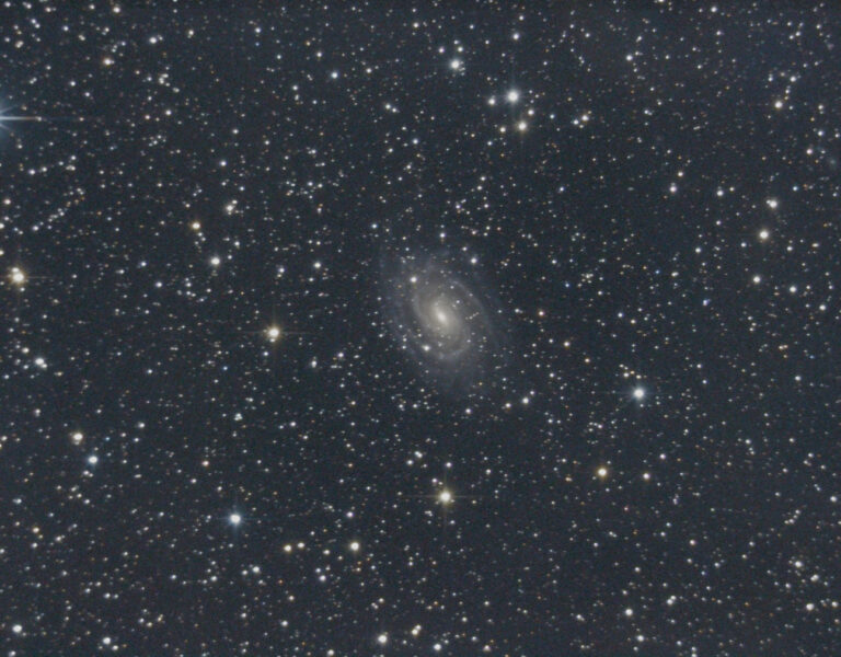 NGC 6384