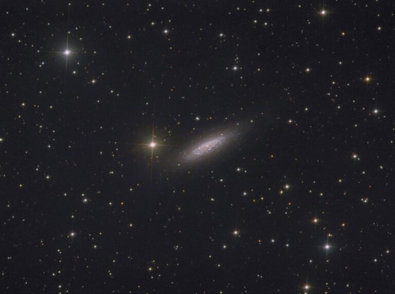 NGC 6503