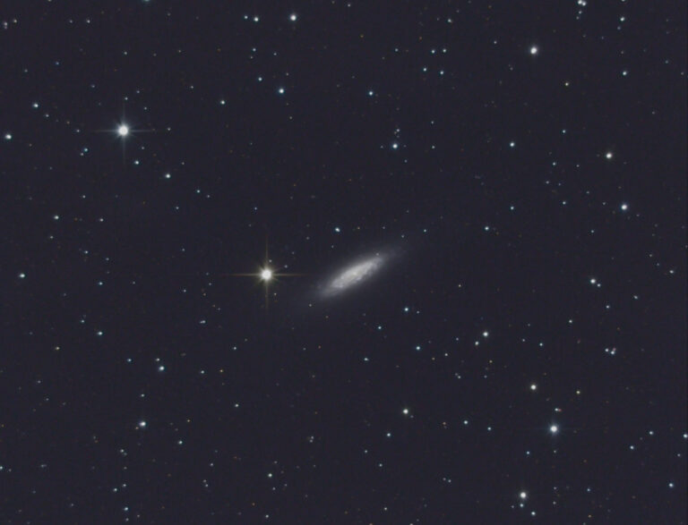 NGC 6503