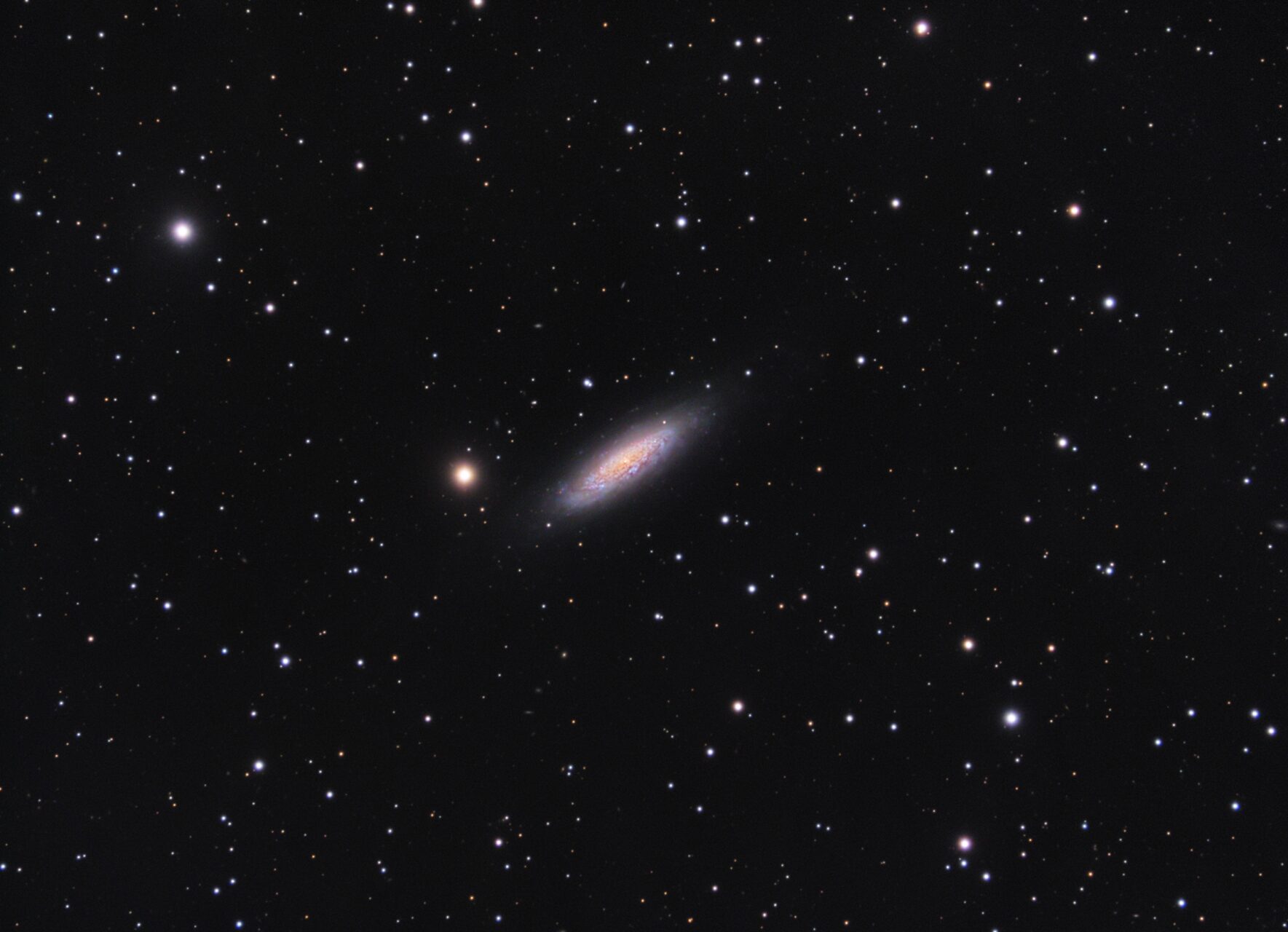 NGC 6503