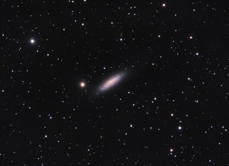 NGC 6503