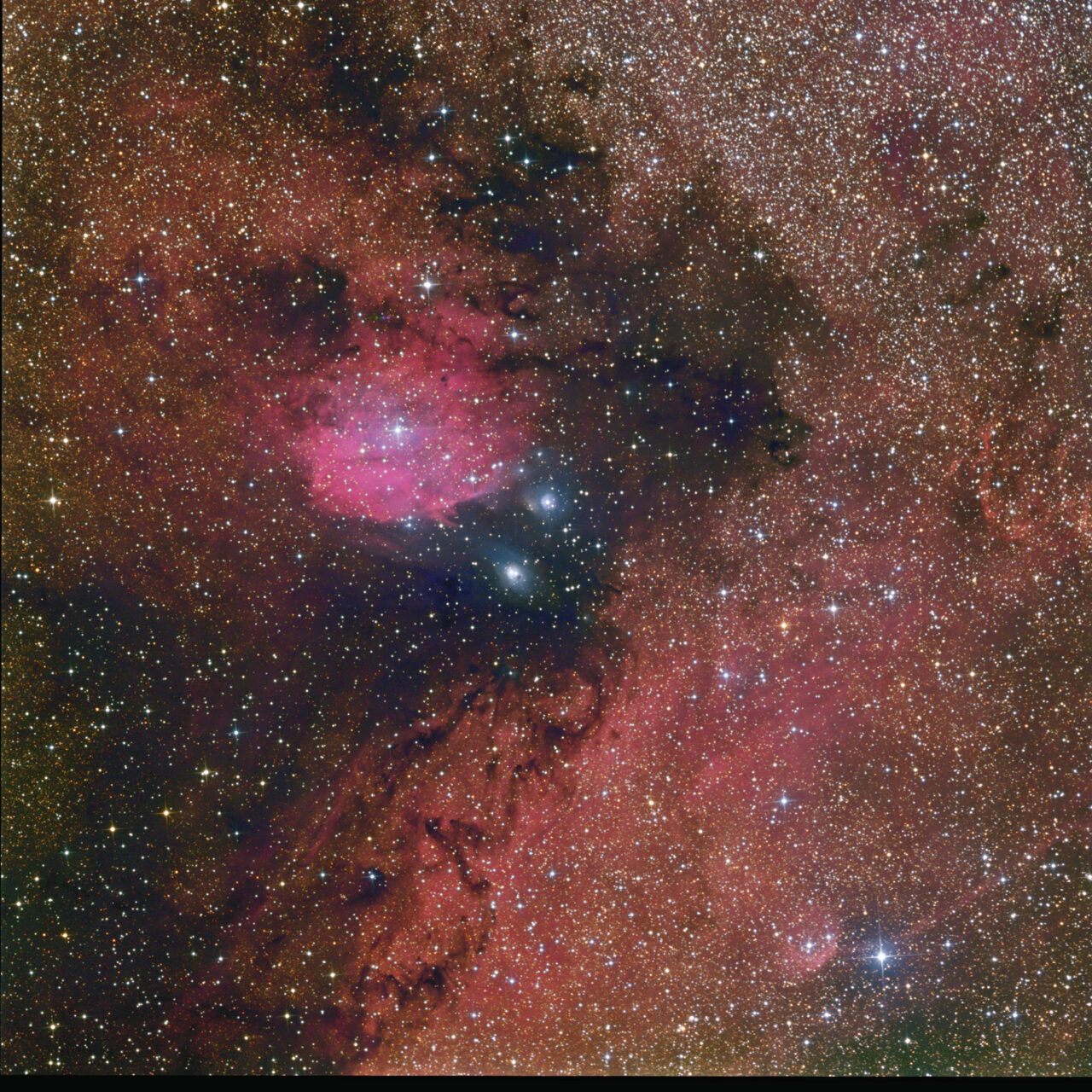 NGC 6589
