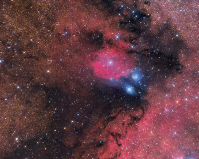 Mehr über den Artikel erfahren NGC 6590