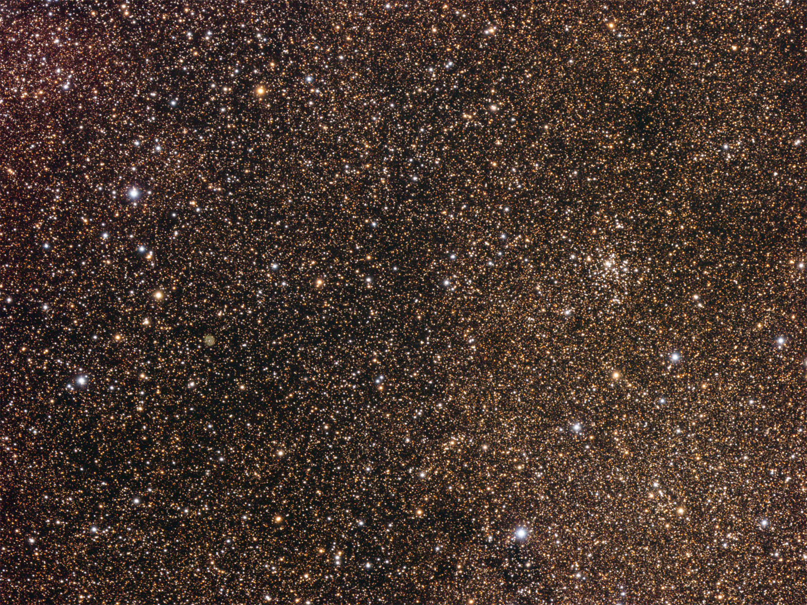 NGC 6834