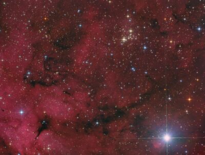 Mehr über den Artikel erfahren NGC 6910