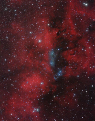 Read more about the article NGC 6914