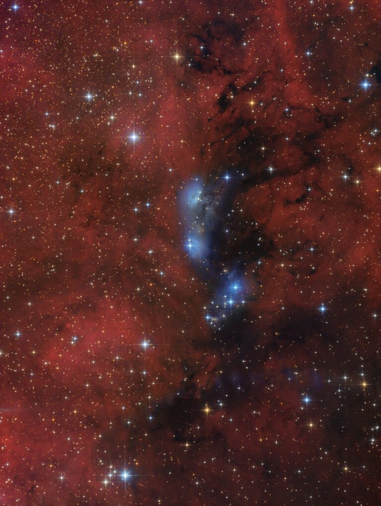 NGC 6914