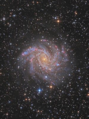 Mehr über den Artikel erfahren NGC 6946