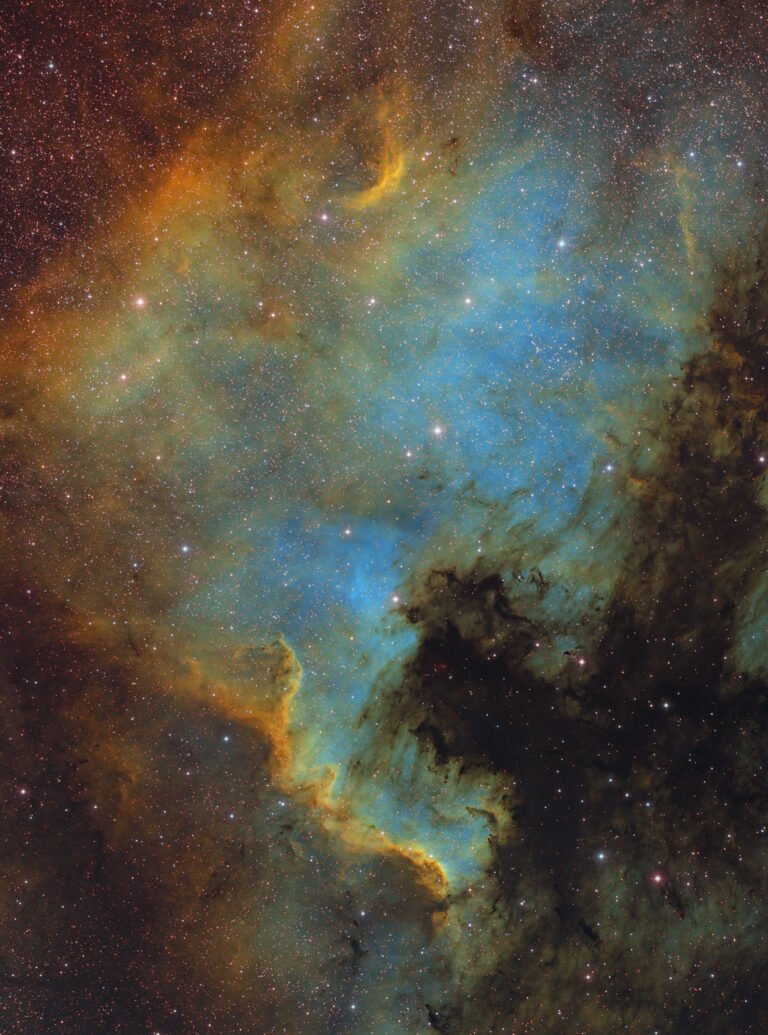 NGC 7000