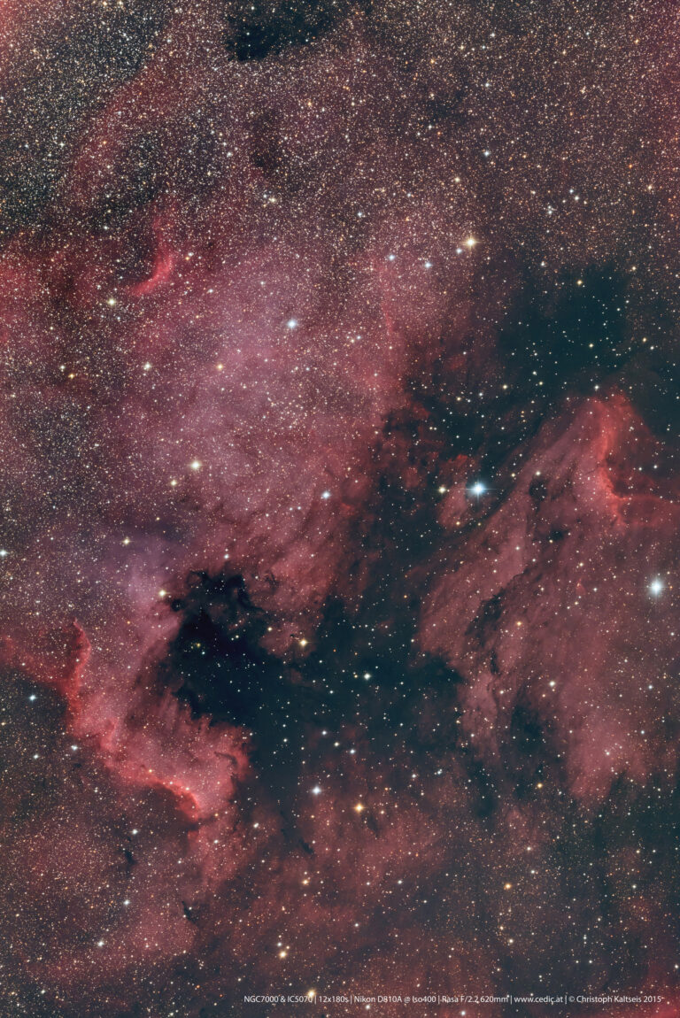 NGC 7000