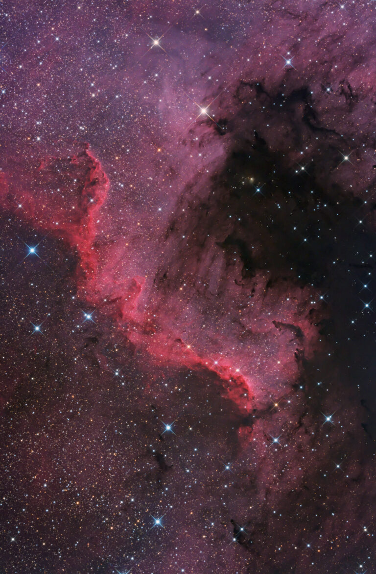 NGC 7000