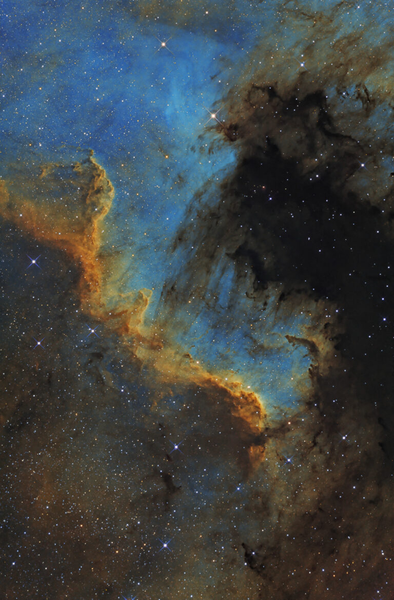 NGC 7000