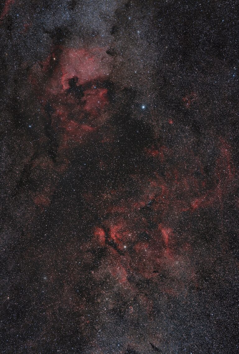NGC 7000