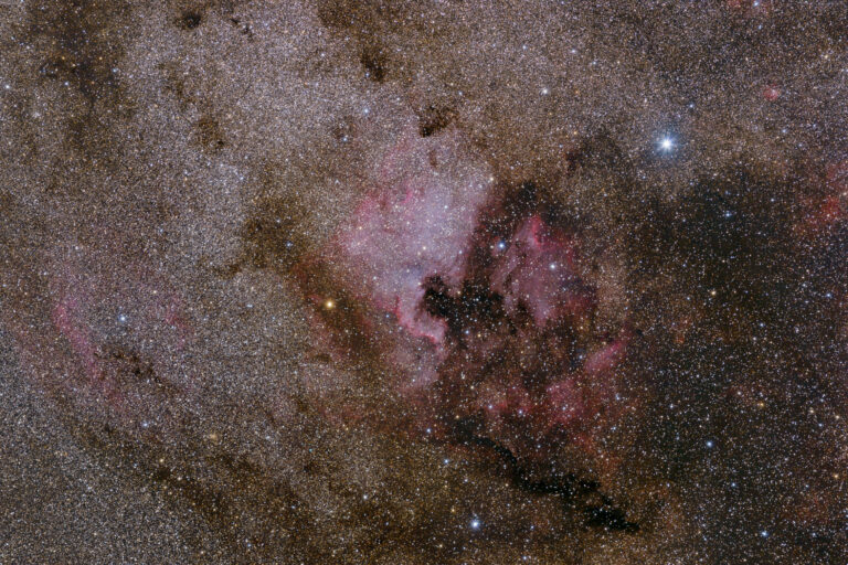 NGC 7000