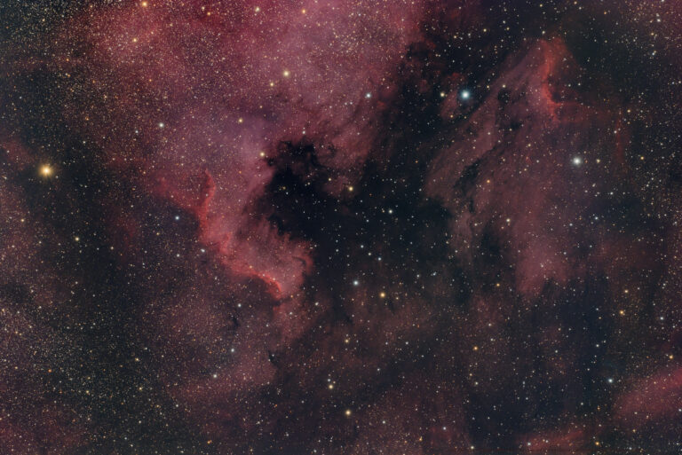 NGC 7000