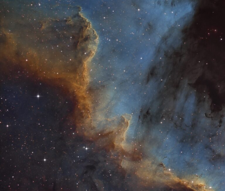NGC 7000