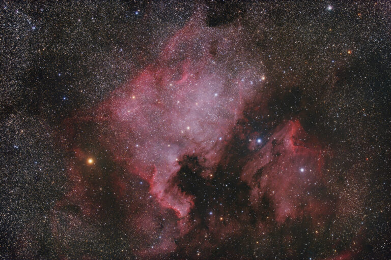 NGC 7000