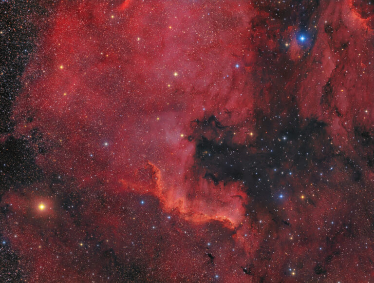 NGC 7000