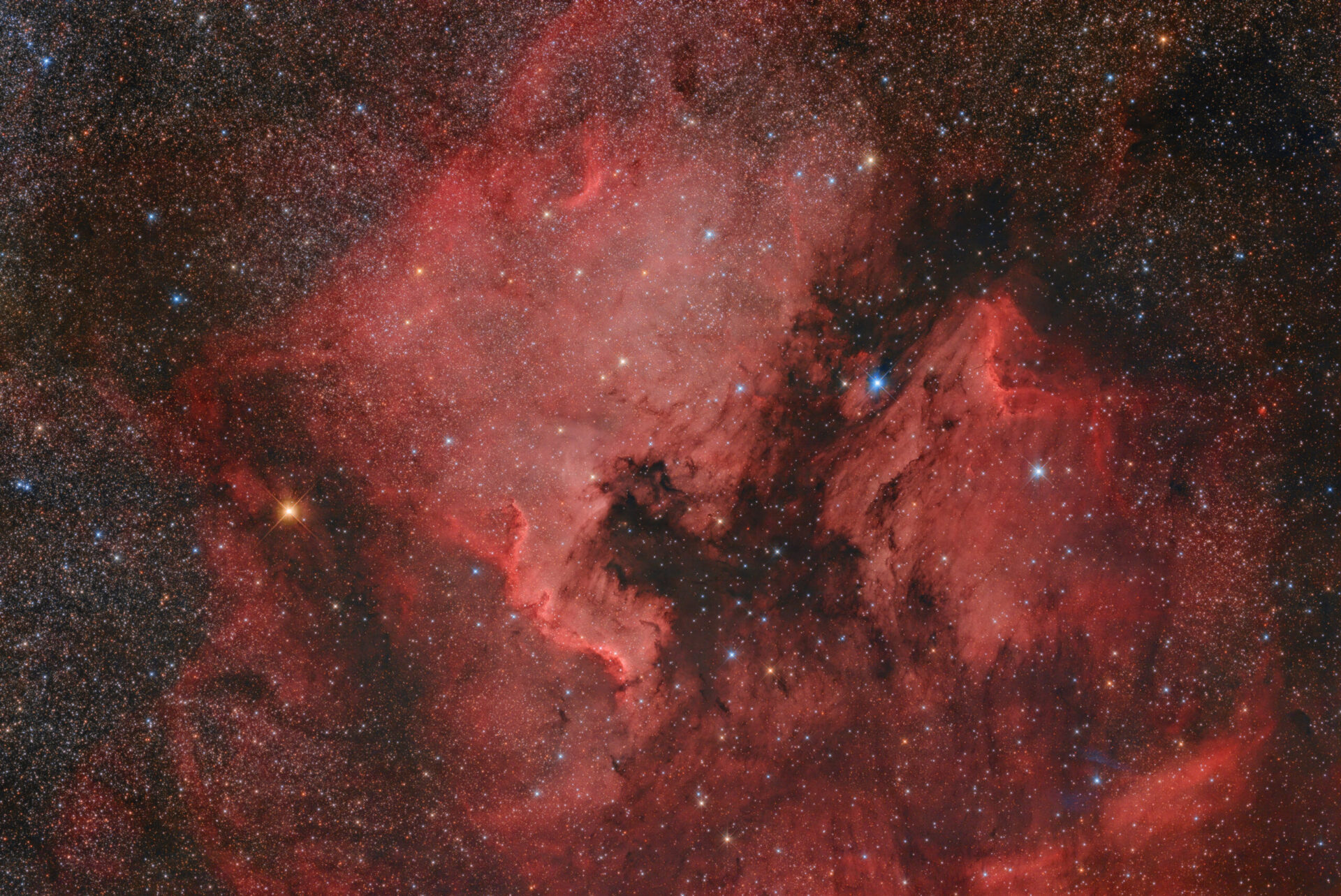 NGC 7000