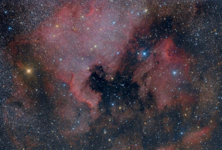 NGC 7000