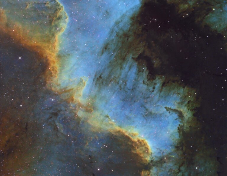 NGC 7000