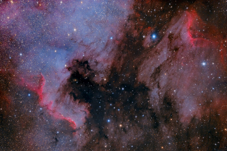 NGC 7000