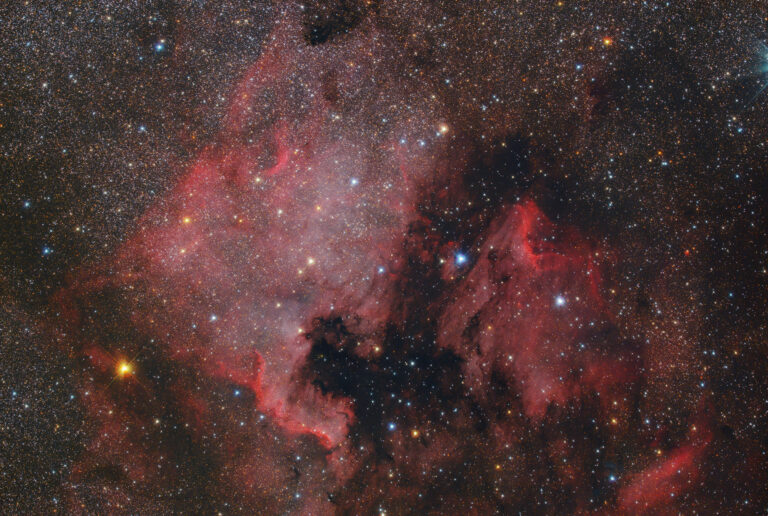 NGC 7000