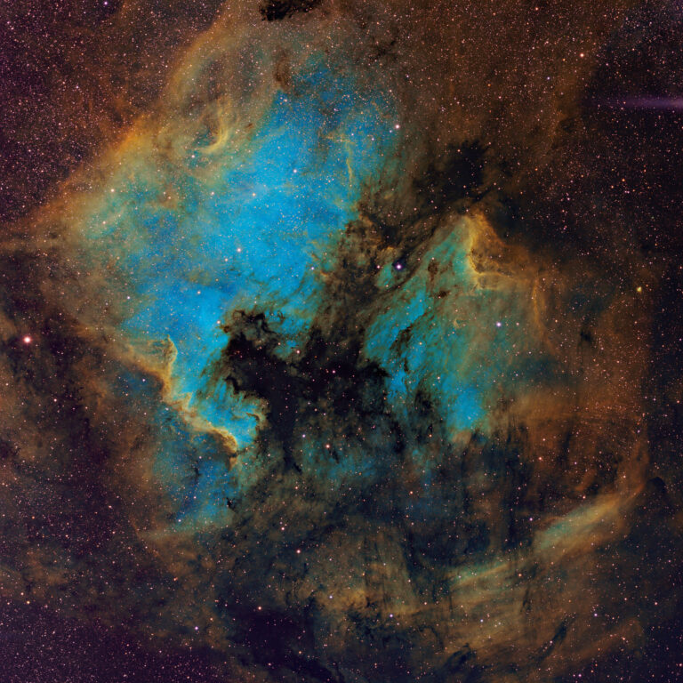 NGC 7000
