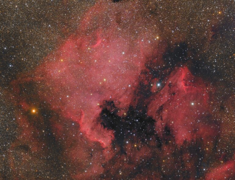 NGC 7000