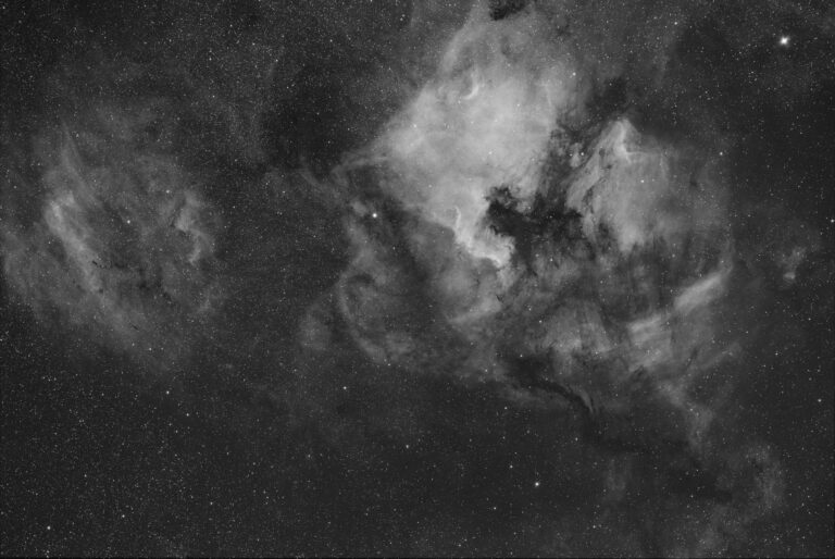 NGC 7000