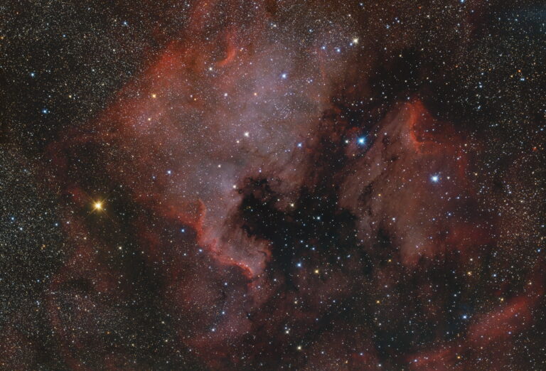 NGC 7000